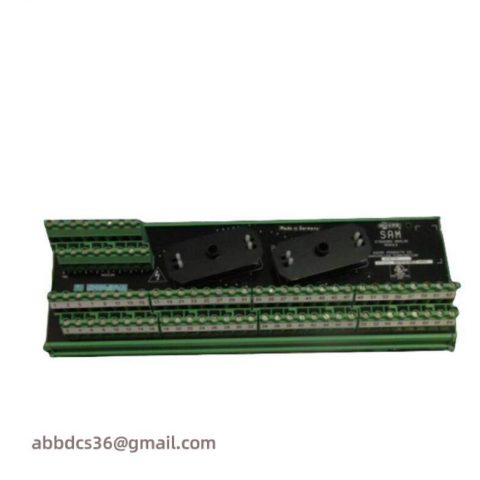 Moore 16169-1-07 SAM: Industrial Analog Module for Precision Control