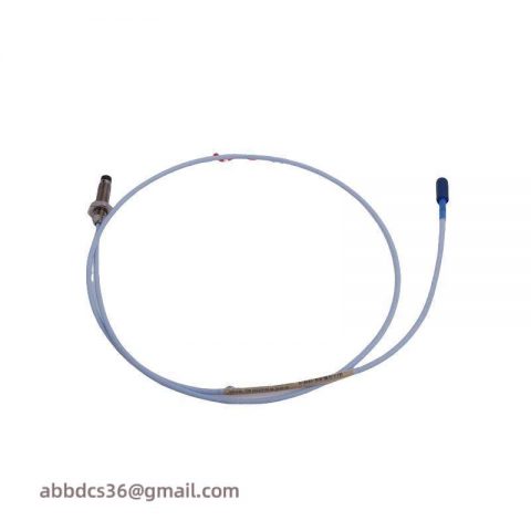 BENTLY NEVADA 22810-00-10-10-02: Precision Proximity Probe for Advanced Control Systems