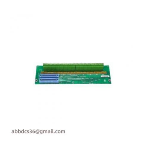 GE DS200TBCBG1AAA: Advanced RTD MA Input Terminal Board