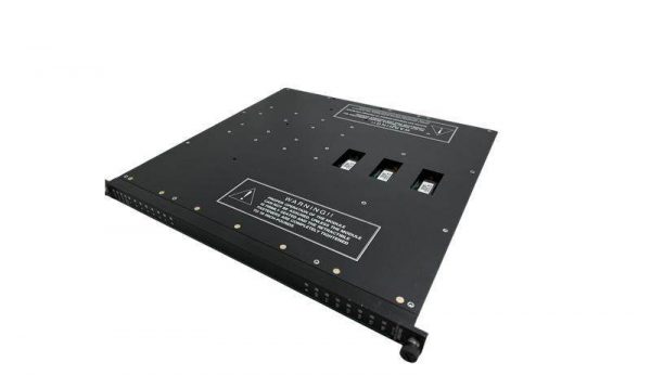 TRICONEX 3604E Digital Output Modules